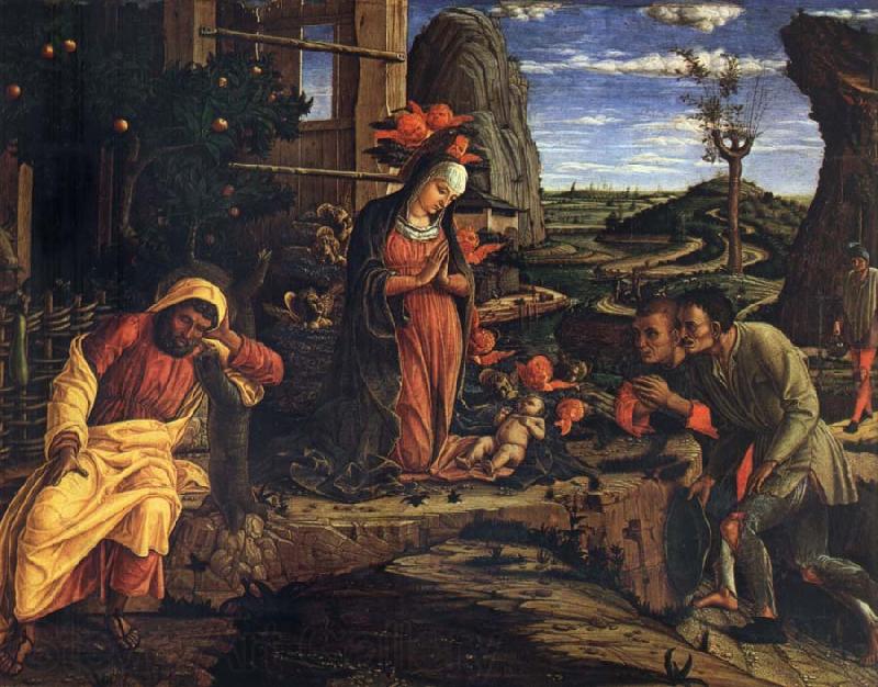 Andrea Mantegna Adoration of the Shepherds Spain oil painting art